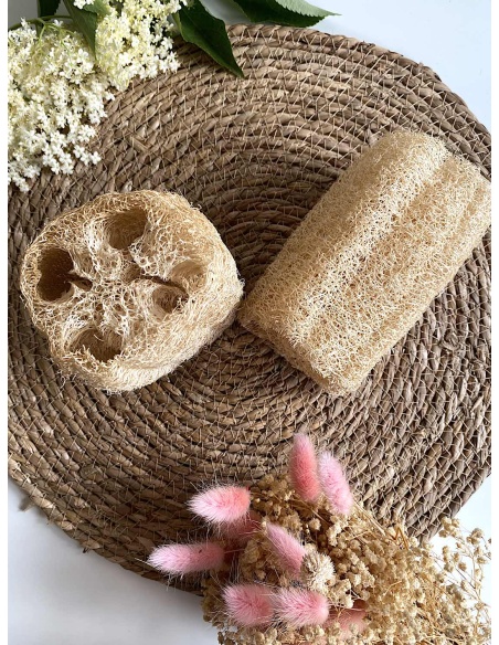 Luffa non blanchie