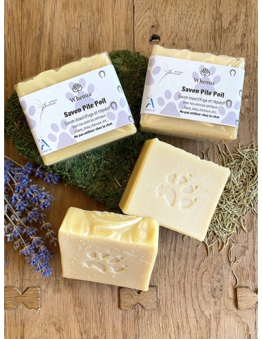 Savon pour chien